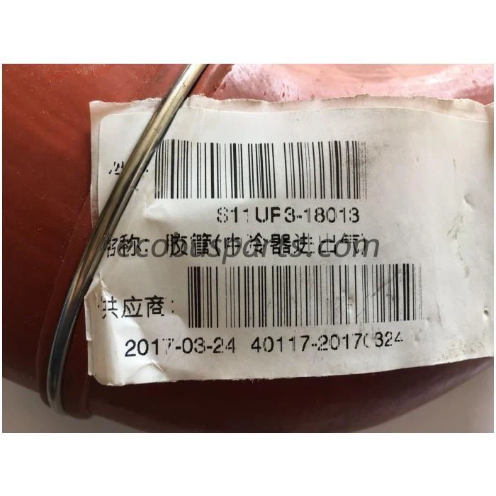 China Vertical Outlet Hose